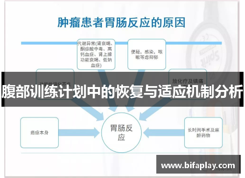 腹部训练计划中的恢复与适应机制分析